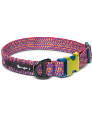 Del DÃa Dog Collar